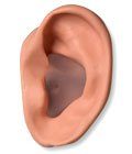 Hearing Protection Solutions in Anchorage, AK